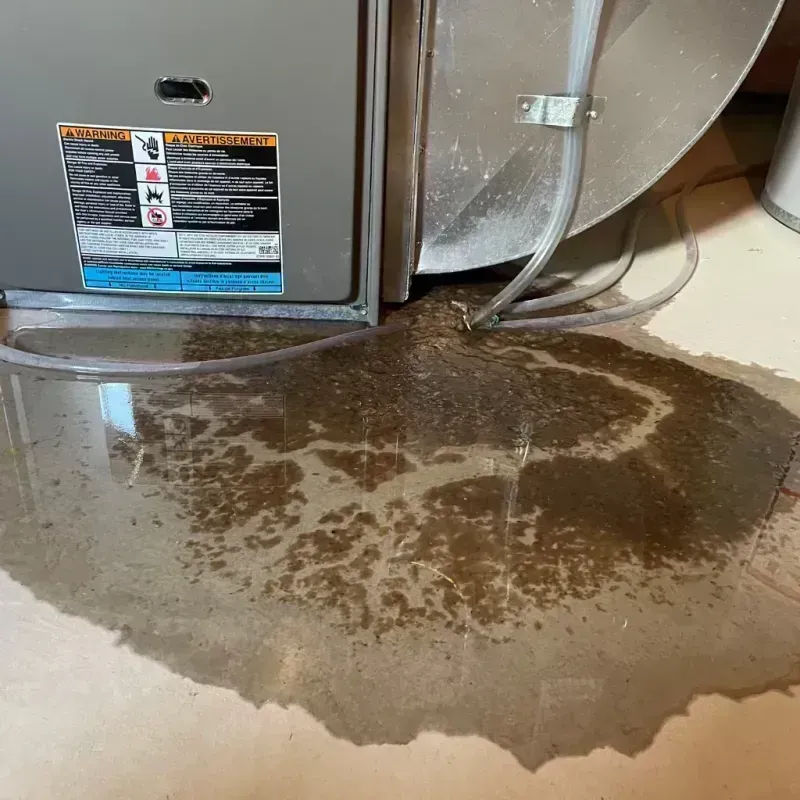 Appliance Leak Cleanup in Brodhead, KY